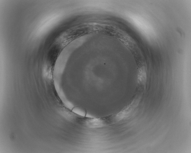 X0000116040431200912041815