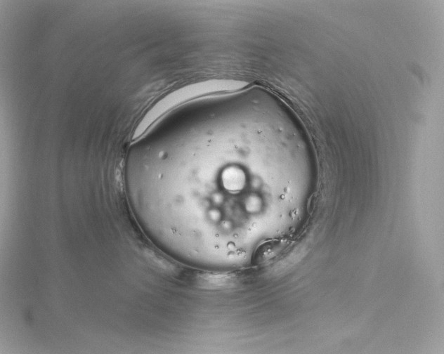 X0000116040432200912041815