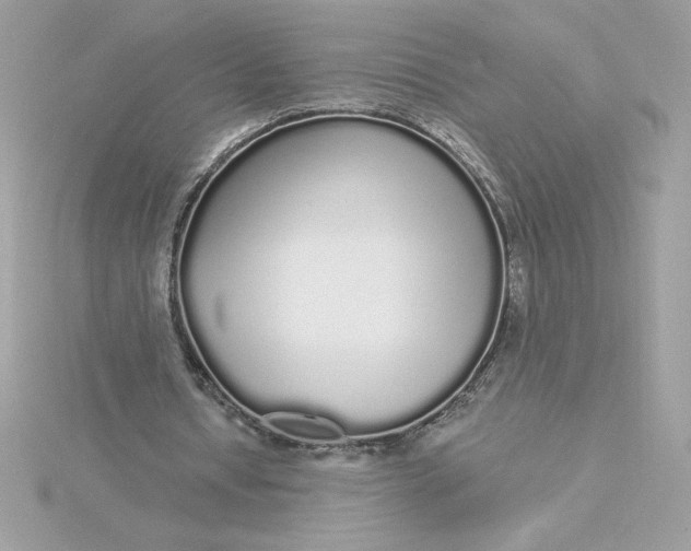 X0000116040434200912041815