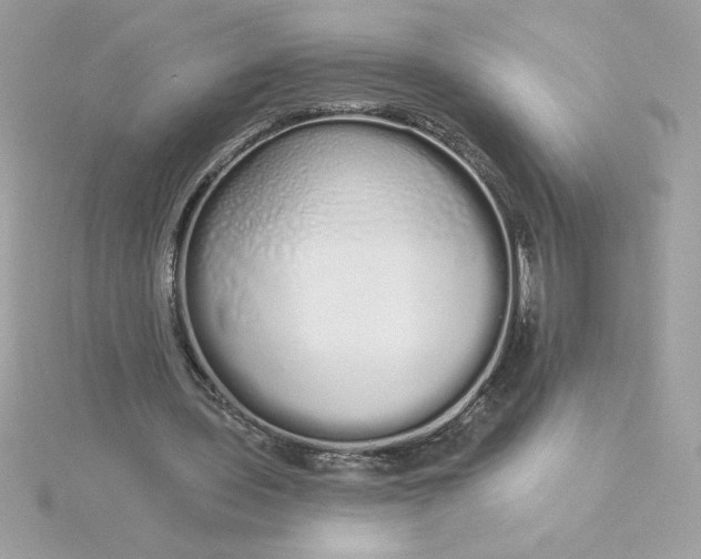 X0000116040435200912041815