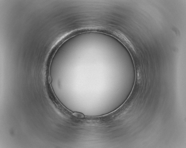 X0000116040436200912041815