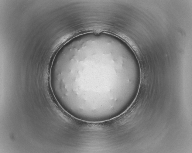 X0000116040437200912041815