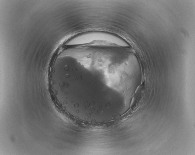 X0000116040438200912041815