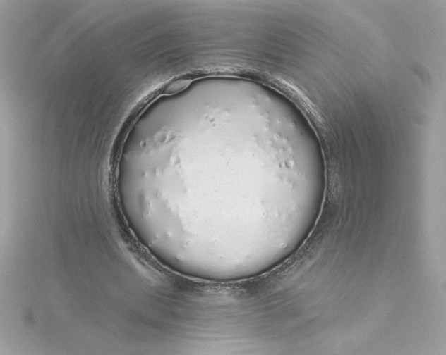 X0000116040439200912041815