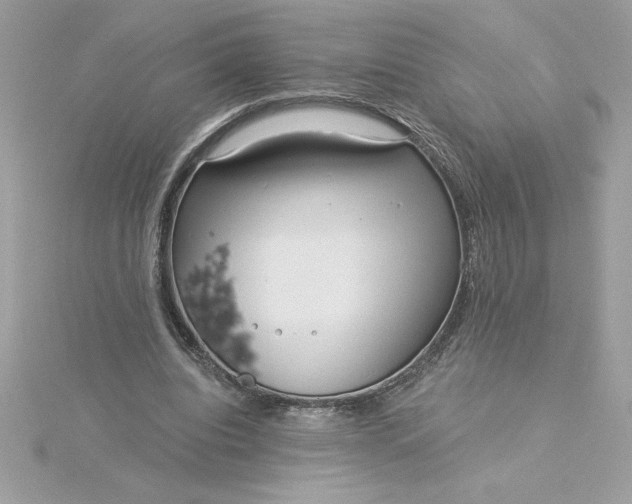 X0000116040440200912041815