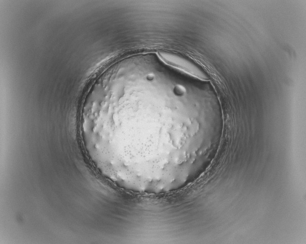 X0000116040442200912041815