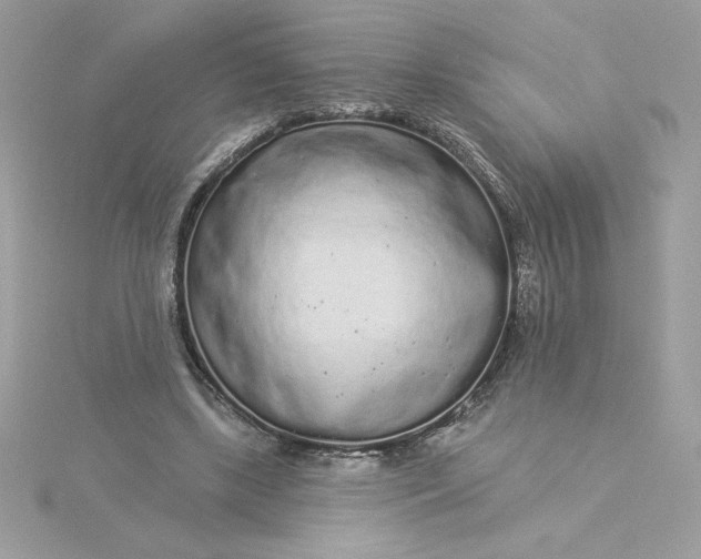 X0000116040443200912041815