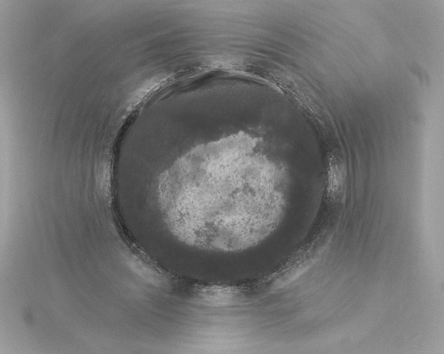 X0000116040444200912041815