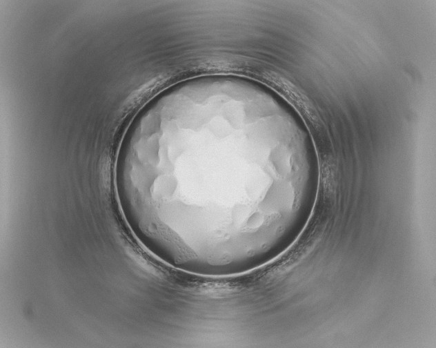 X0000116040445200912041815