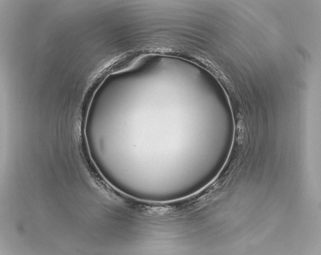 X0000116040446200912041815