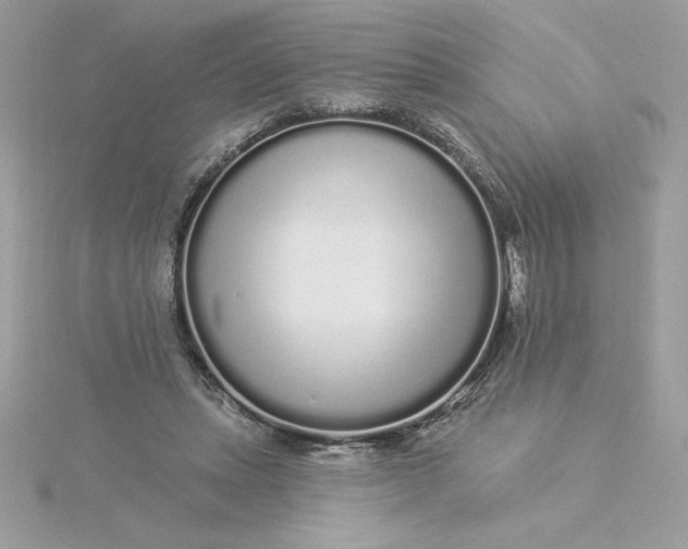 X0000116040447200912041815