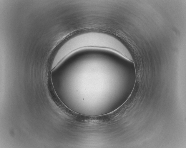 X0000116040448200912041815