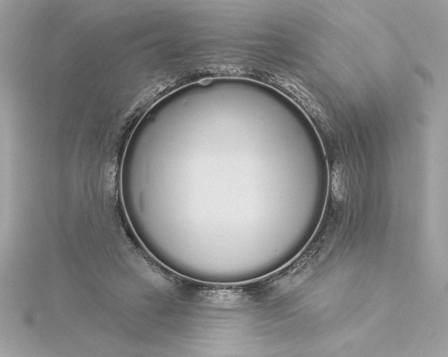 X0000116040449200912041815