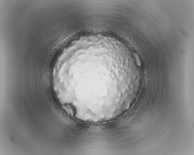 X0000116040450200912041815