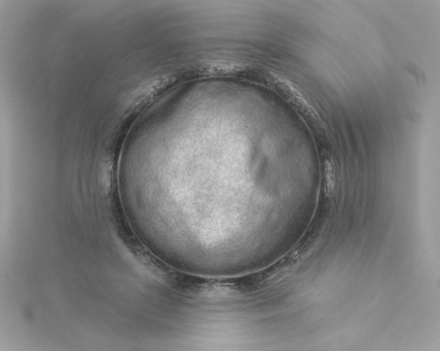 X0000116040451200912041815