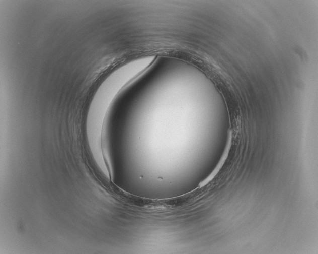 X0000116040452200912041815