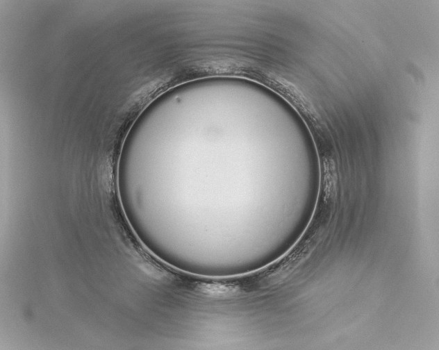 X0000116040453200912041815