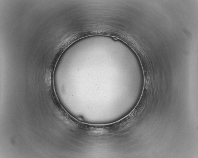 X0000116040454200912041815