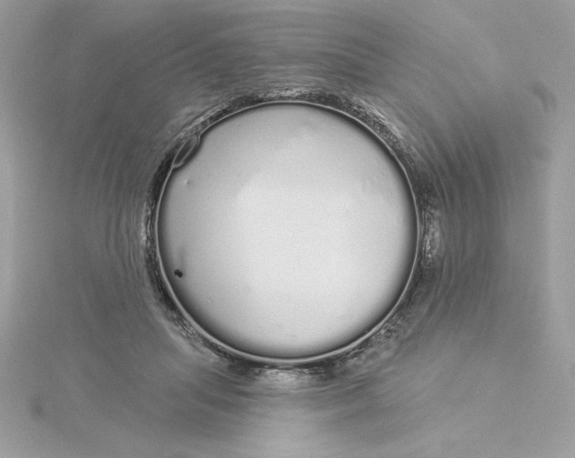 X0000116040455200912041815