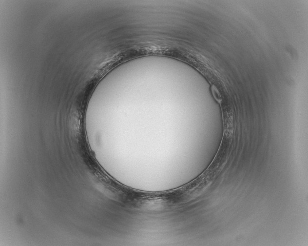 X0000116040456200912041815