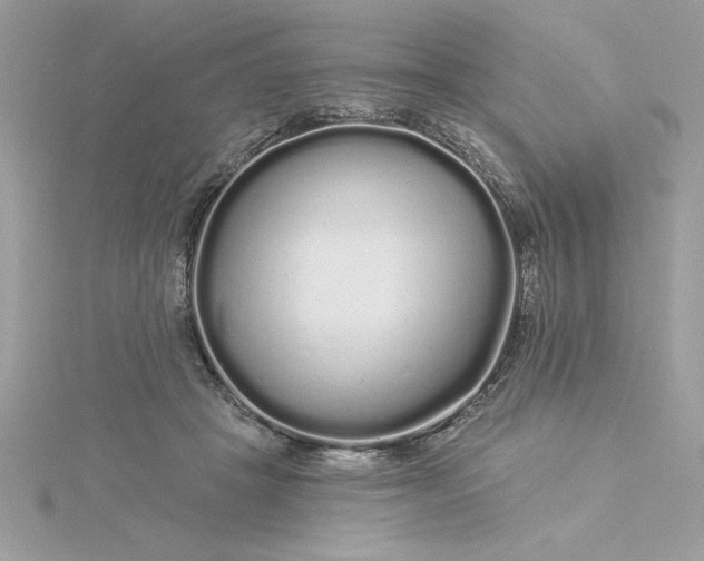 X0000116040457200912041815