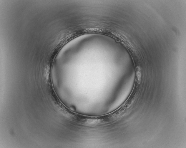 X0000116040458200912041815