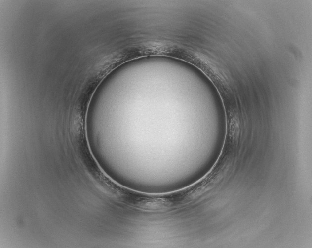 X0000116040459200912041815