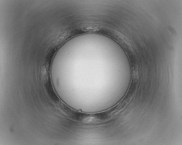 X0000116040460200912041815