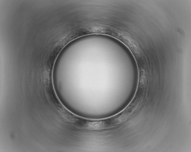 X0000116040461200912041815