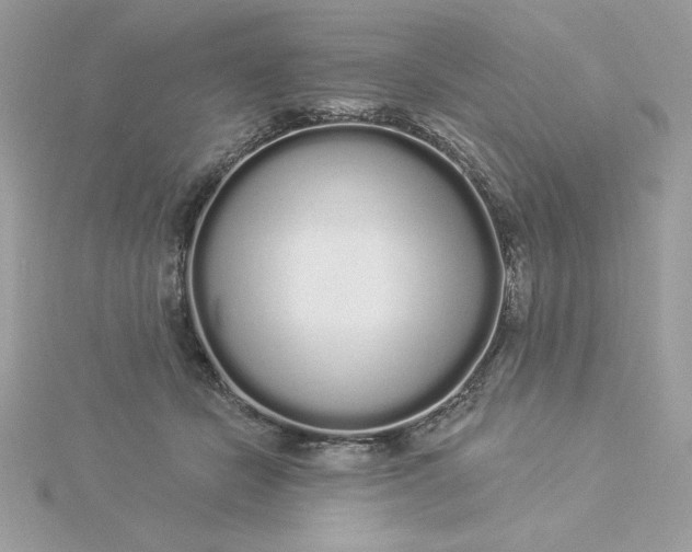 X0000116040462200912041815