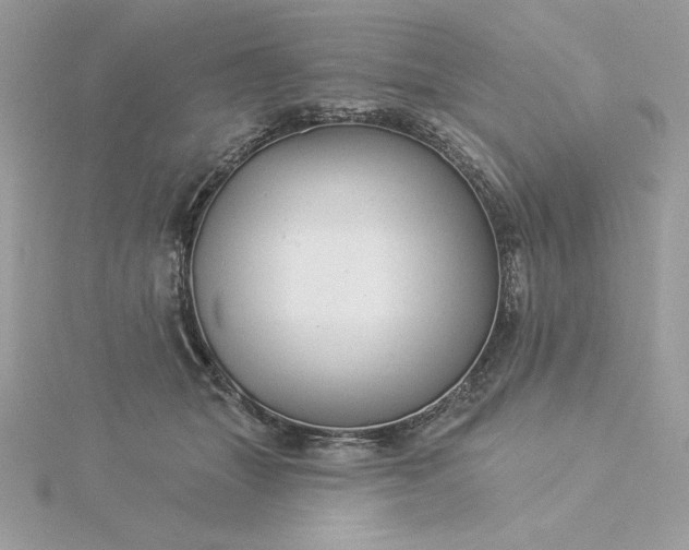 X0000116040463200912041815