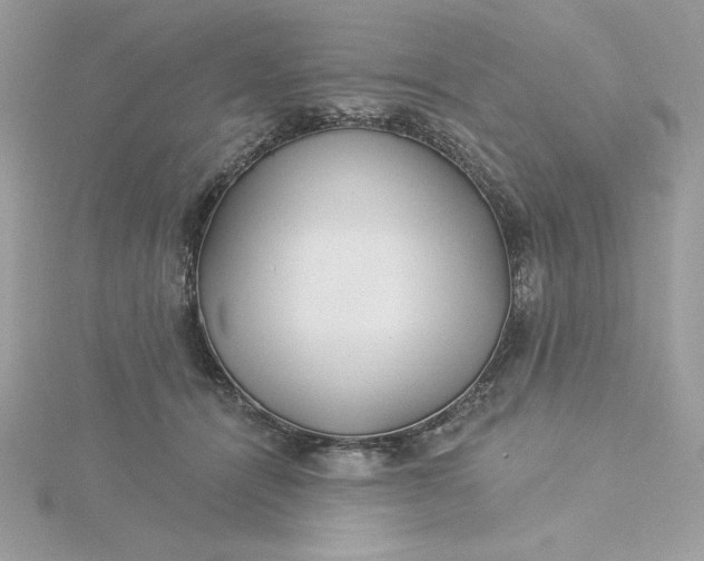 X0000116040464200912041815