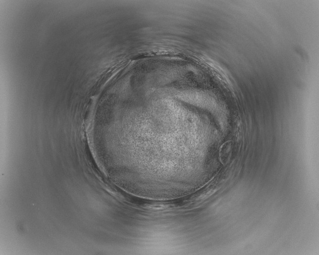 X0000116040465200912041815