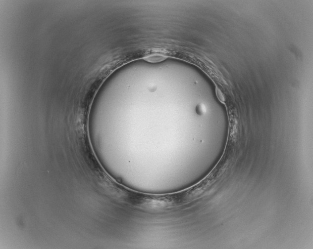 X0000116040466200912041815