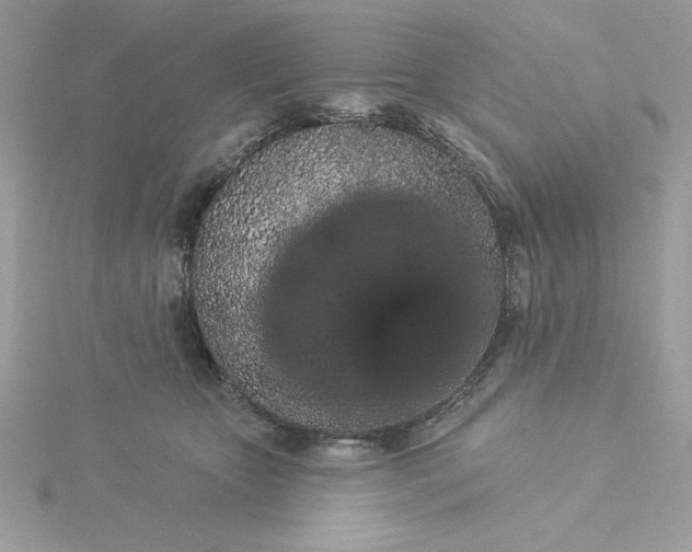 X0000116040467200912041815