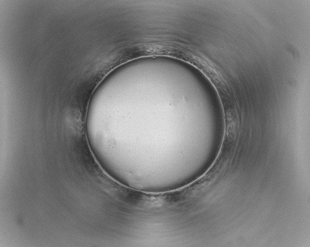 X0000116040469200912041815