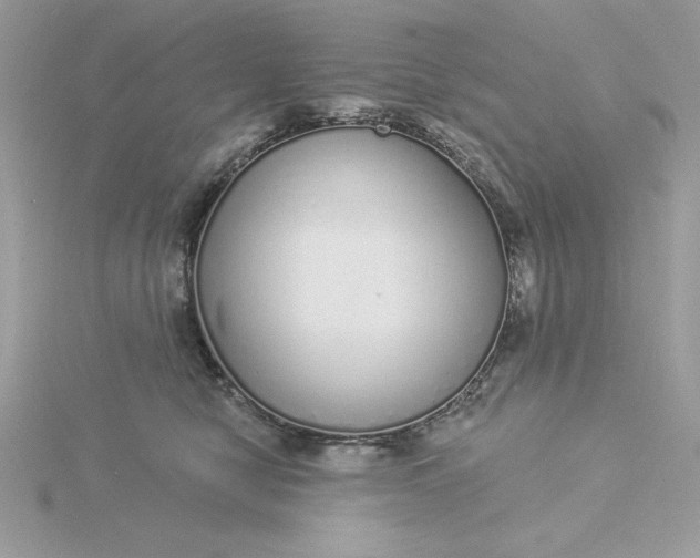 X0000116040470200912041815