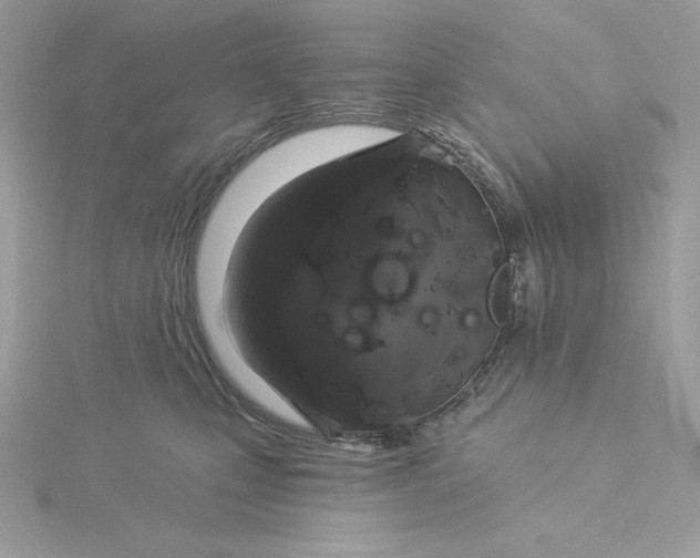 X0000116040471200912041815