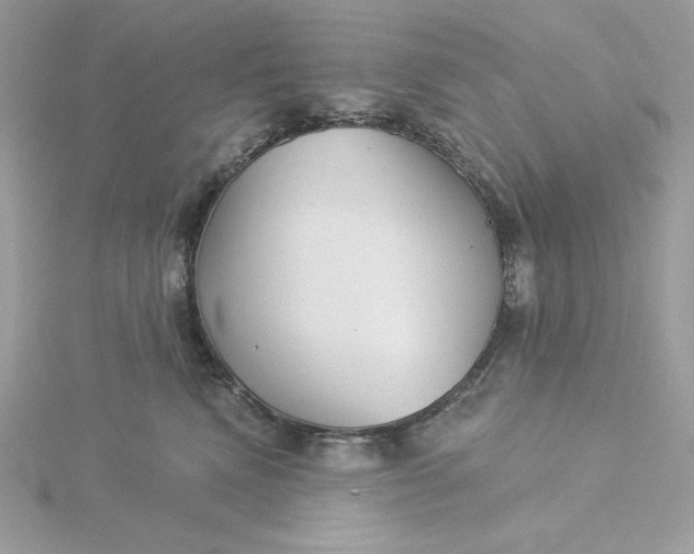 X0000116040472200912041815