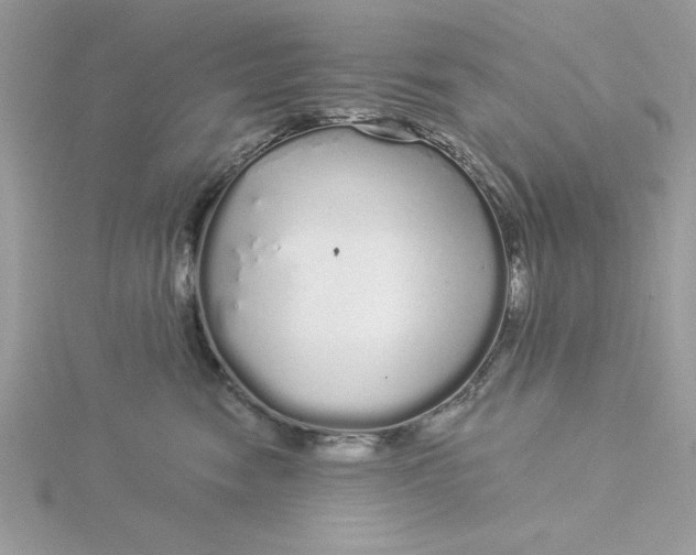 X0000116040474200912041815