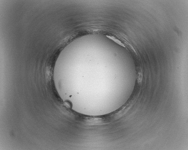 X0000116040476200912041815