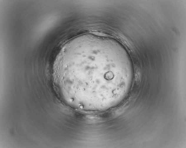 X0000116040477200912041815