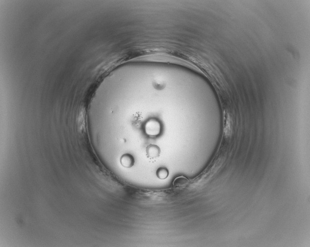 X0000116040478200912041815