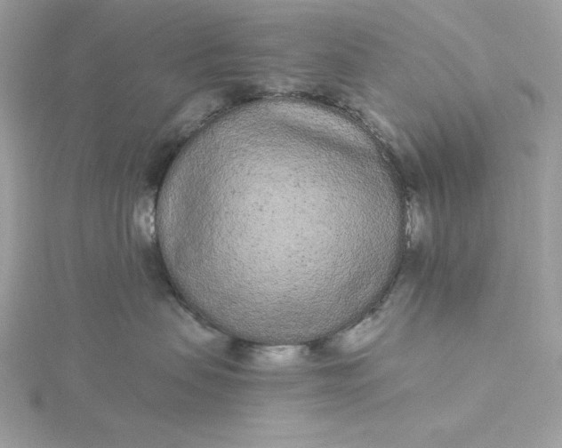 X0000116040479200912041815