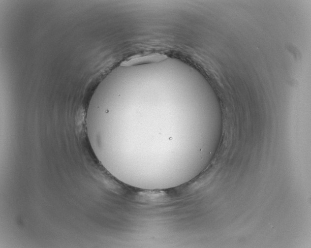 X0000116040480200912041815