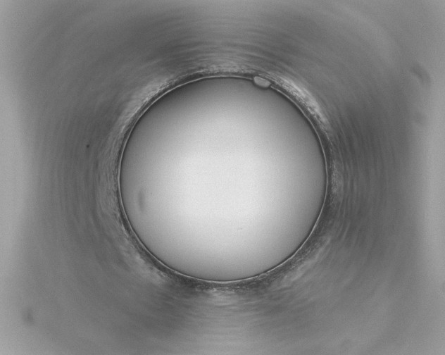 X0000116040481200912041815