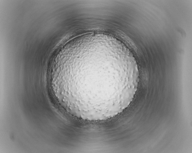 X0000116040482200912041815