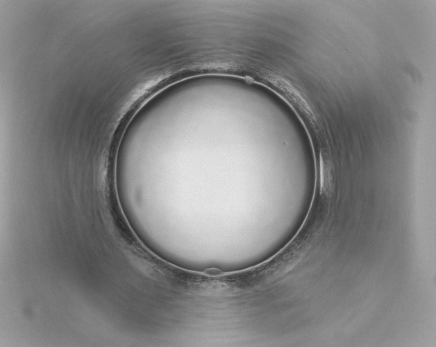 X0000116040483200912041815