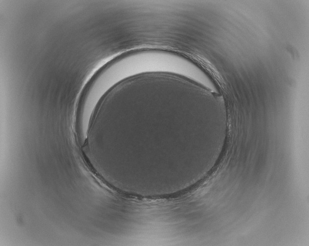 X0000116040484200912041815