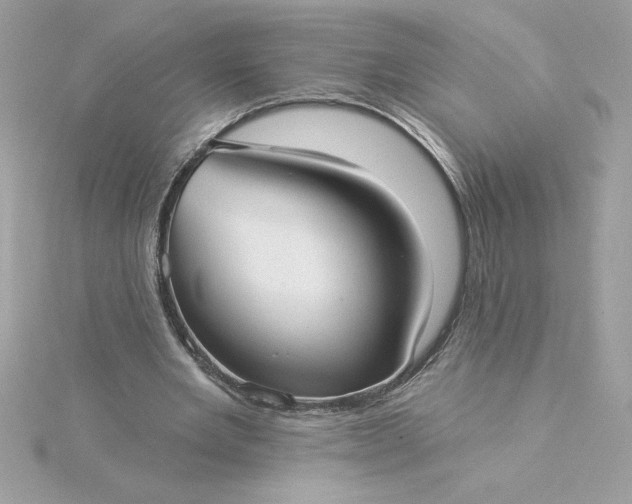 X0000116040485200912041815